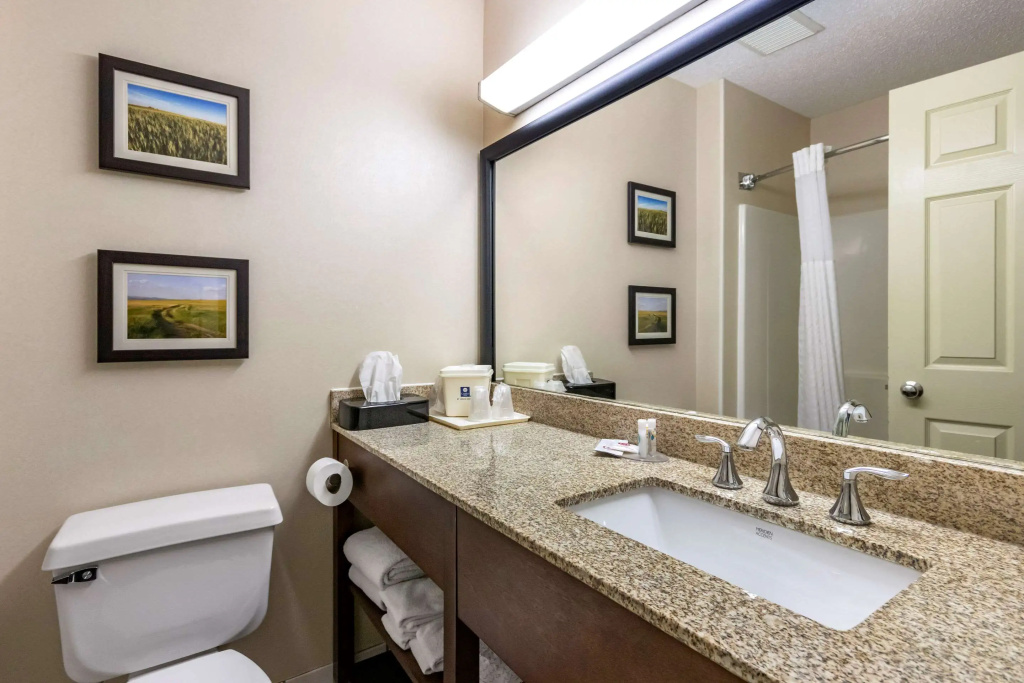 Comfort Inn Great Falls South - Général
