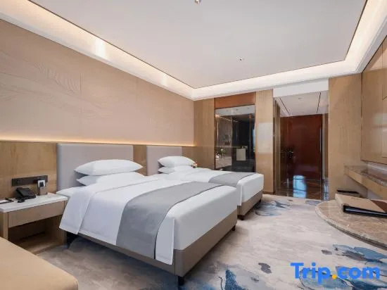 Business Double room (twin beds)