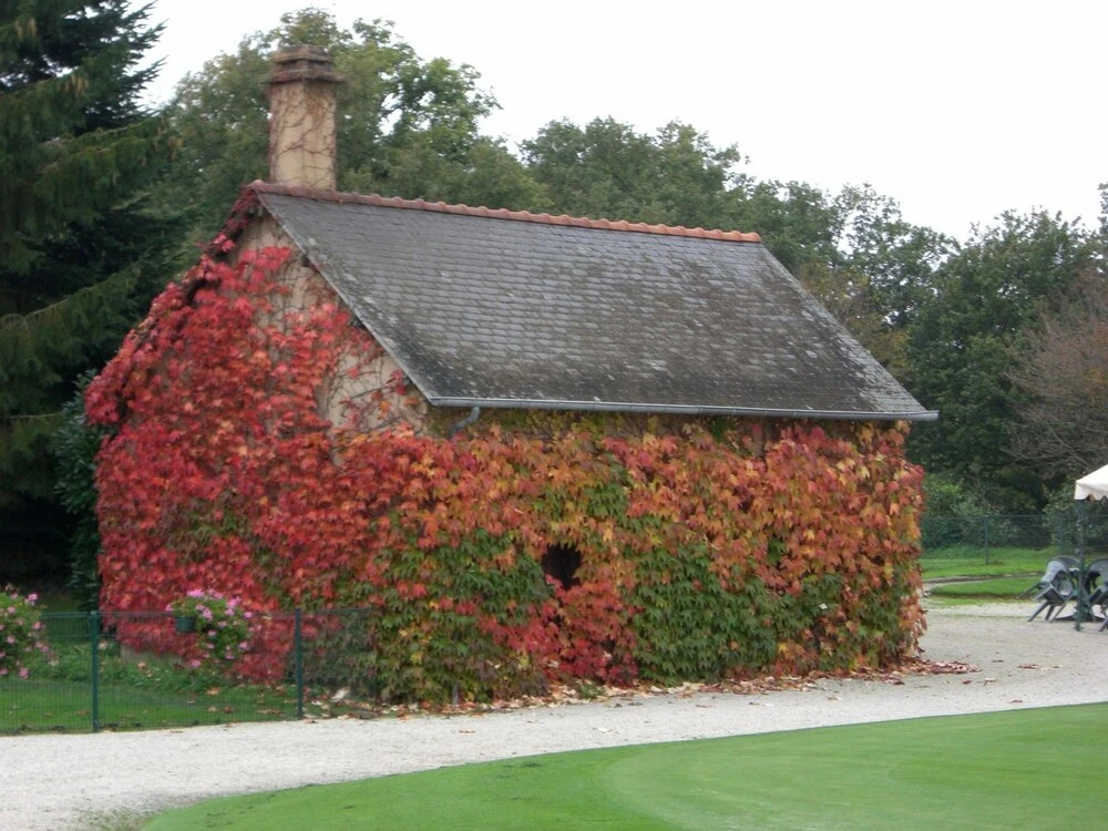 Chateau Du Golf De La Freslonniere