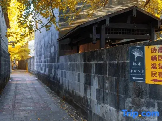 Tengchong Poetic Living Hot Spring Boutique B&B (Ginkgo Village Branch)