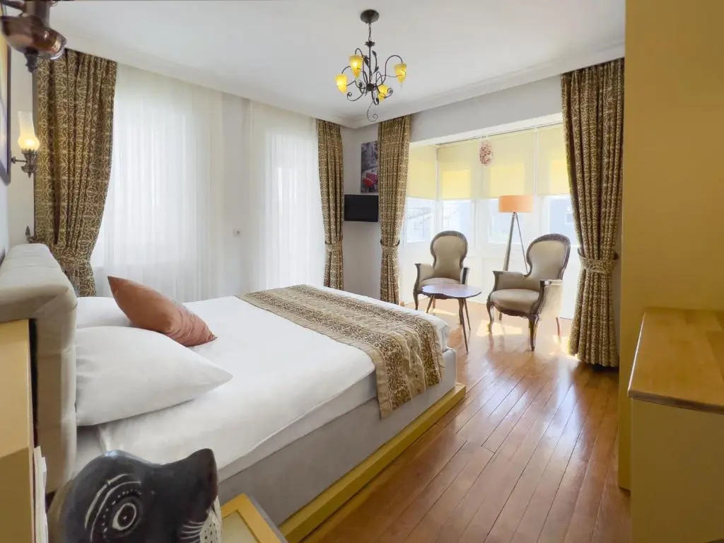 Standard Double room (full double bed)