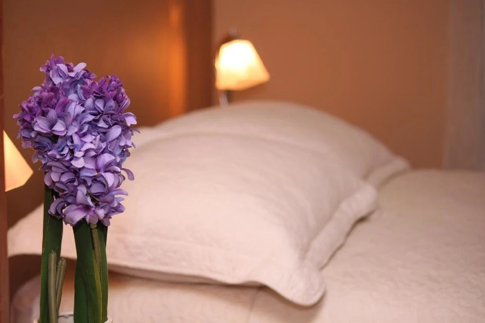 Samana Colca - фото 11