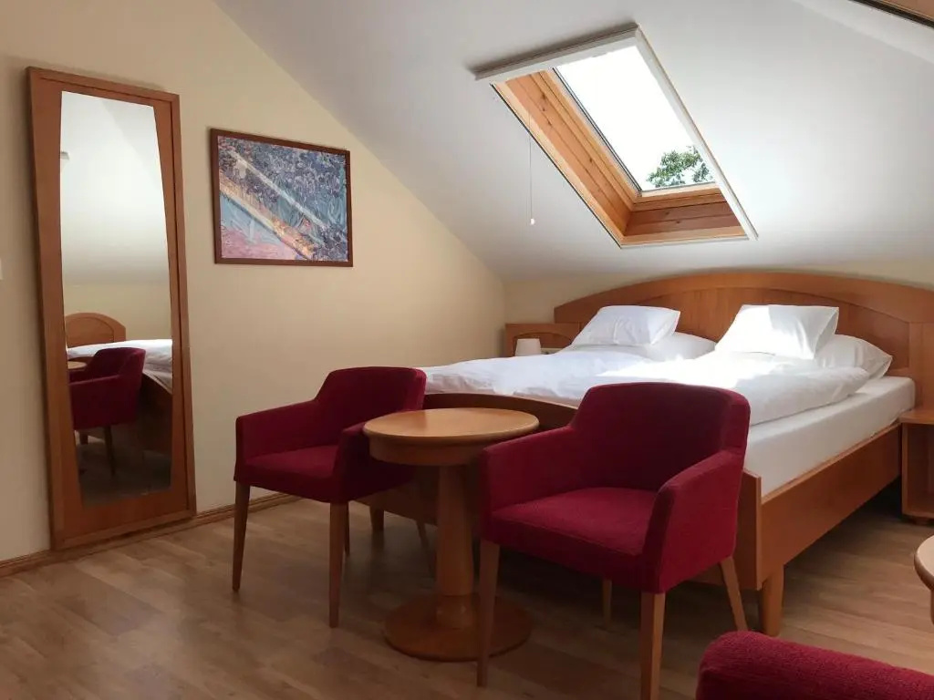 Standard Double room (full double bed)