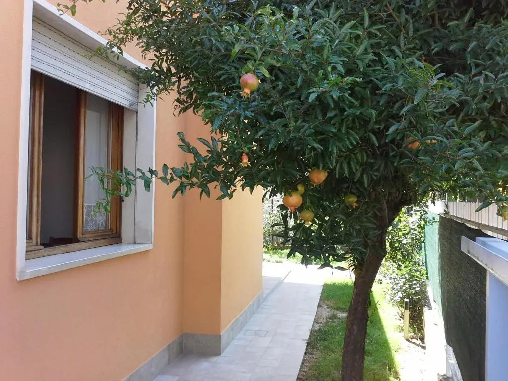 Cottage