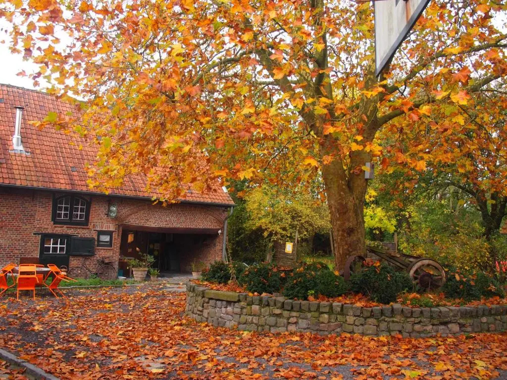 Cottage