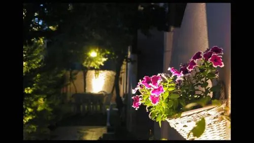 image url