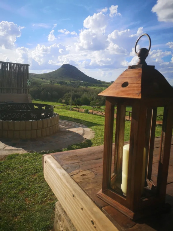 Lionsrock Big Cat Sanctuary