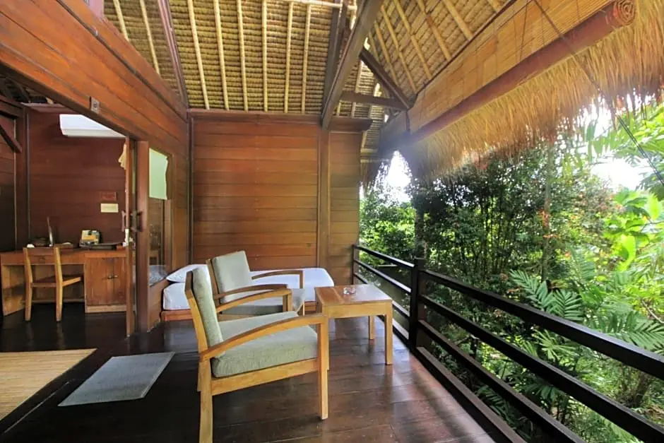 Deluxe Double room with balcony (full double bed)
