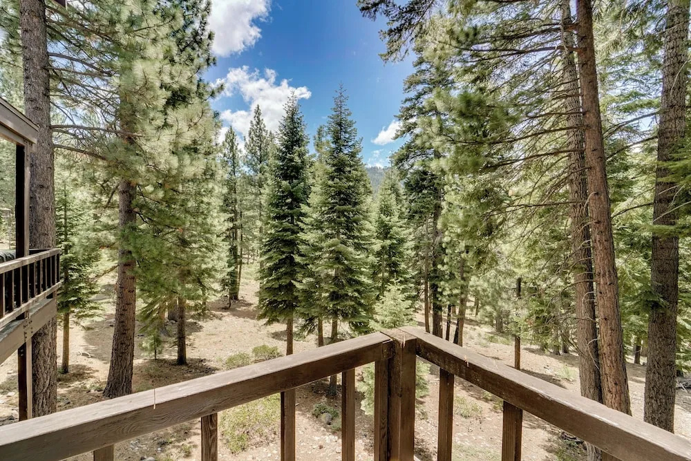 1 Mi to Northstar Skiing: Cozy Pet-friendly Condo!