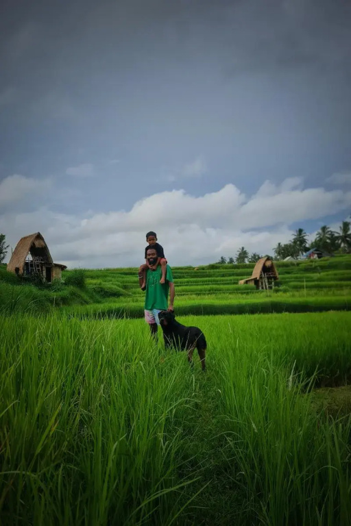 Swaha Retreat & Eco Park Ubud