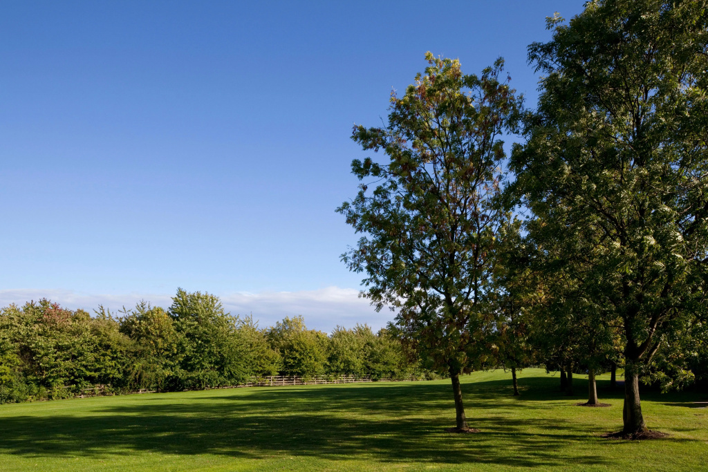 Holiday Inn Derby Nottingham M1 J25 by IHG - фото 19