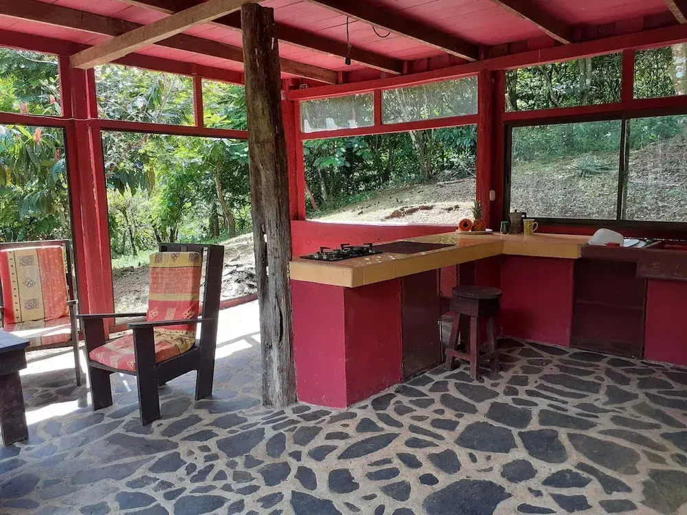 Vanilla Jungle Lodge - Bed & Breakfast - фото 4