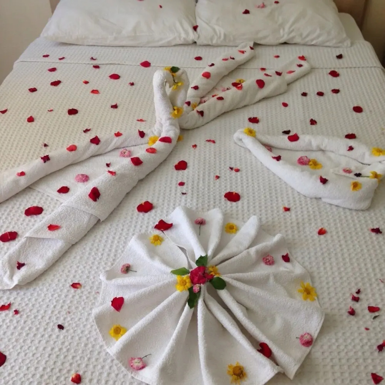 Standard Double room with balcony (full double bed)