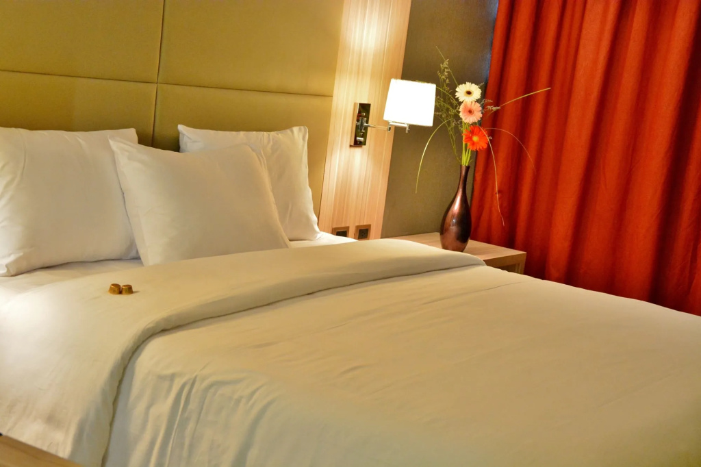 Savoy Hotel Encarnación - Général
