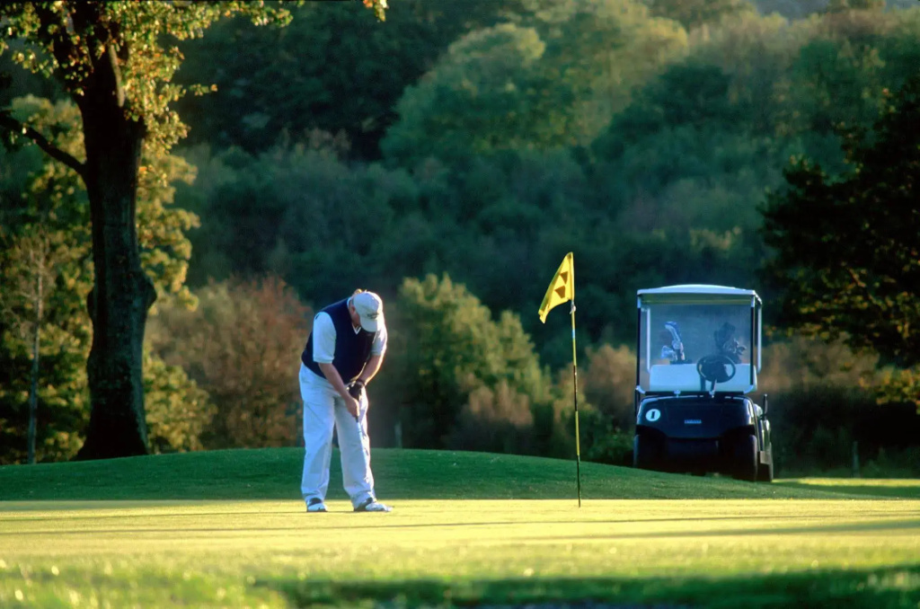 Sedlescombe Golf Hotel - Général