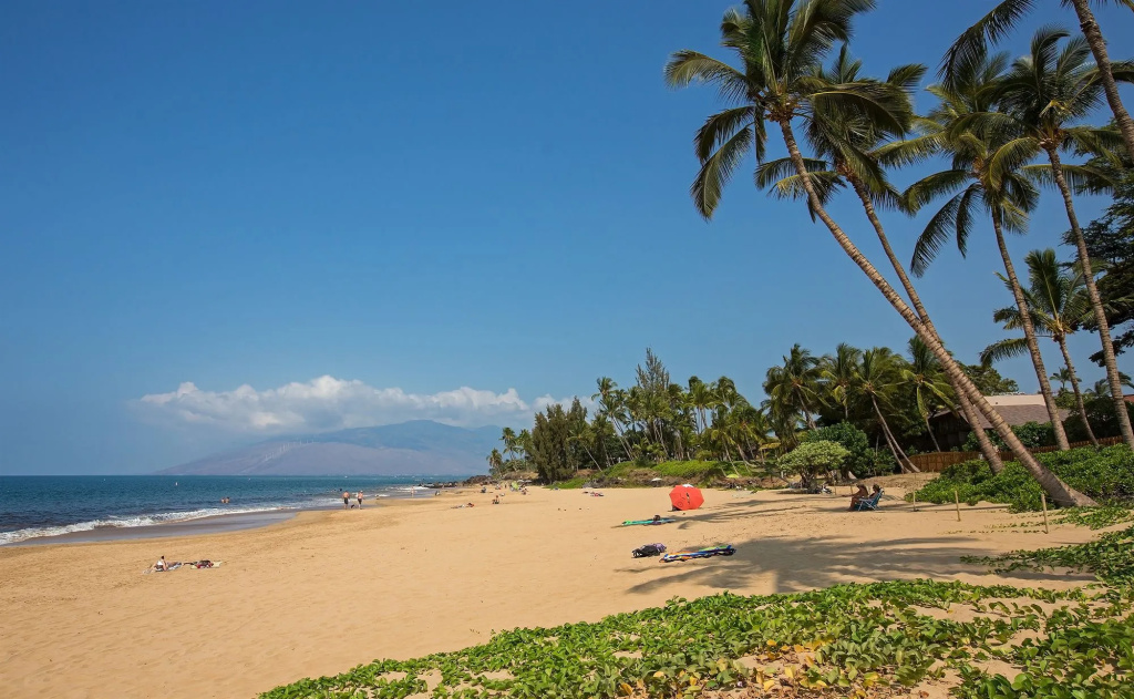 Maui Coast Hotel - Général