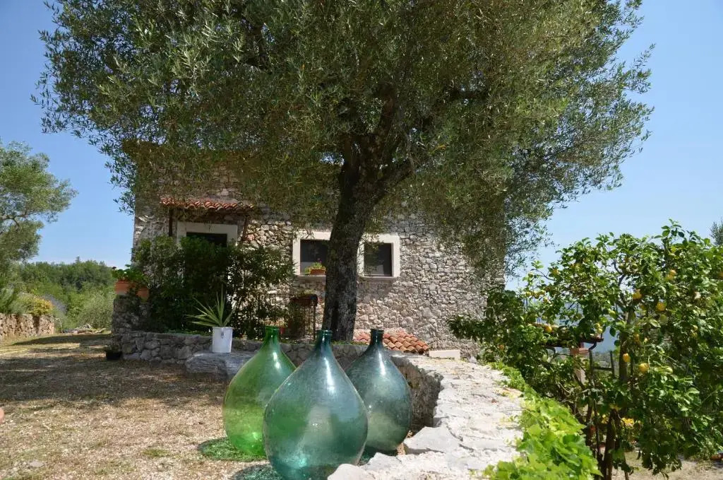 Agrestis Domus - фото 24