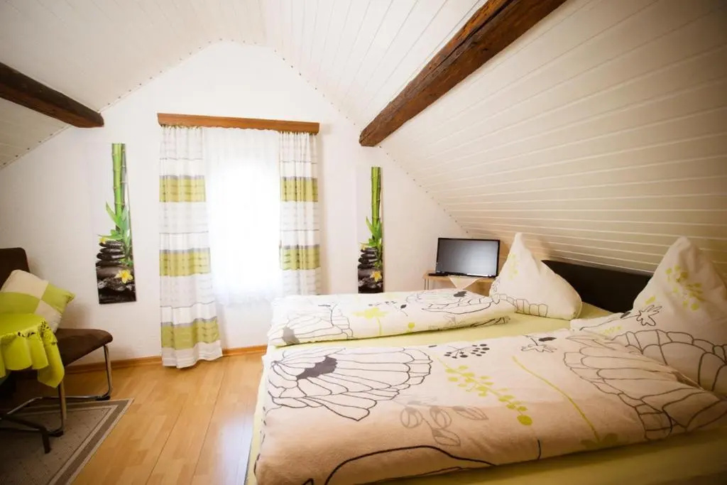 Standard Double room (full double bed)