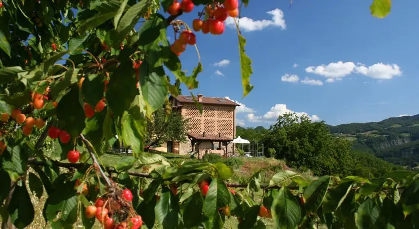 B&B Al Merlo Angelico