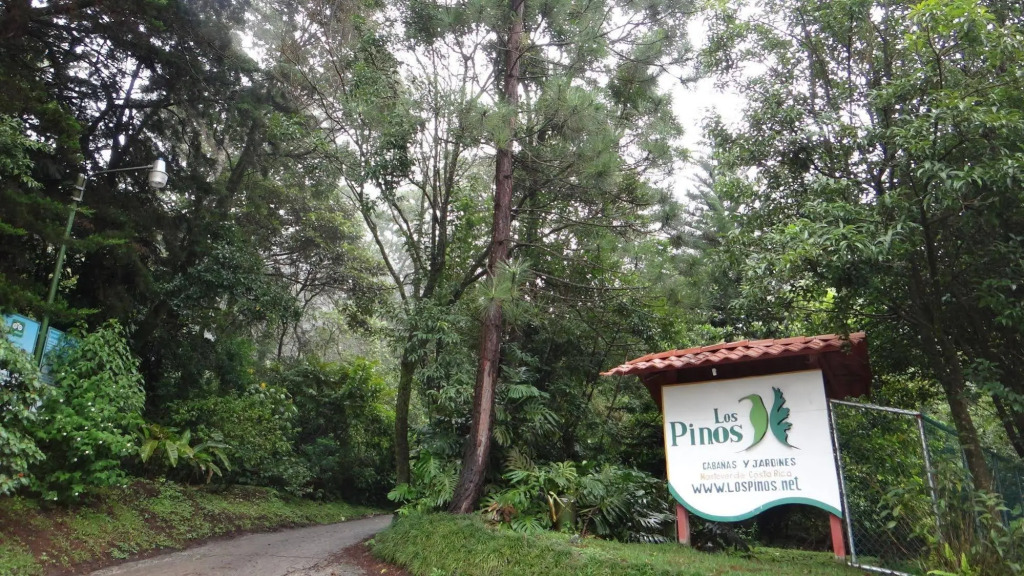 Los Pinos - Cabañas & Reserva by null