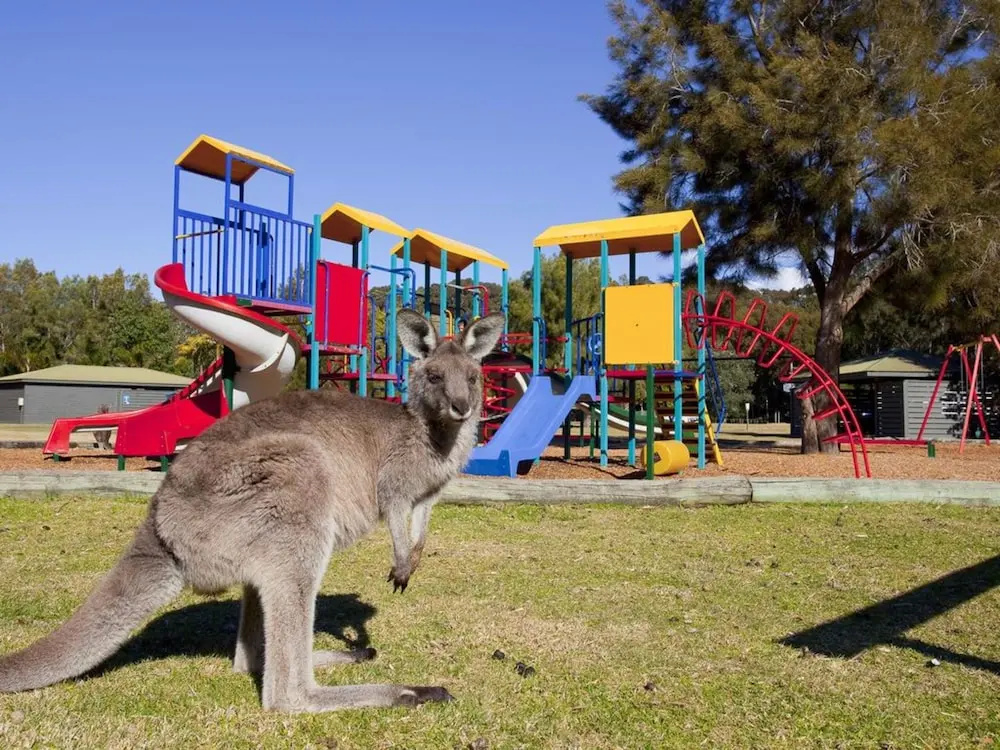 NRMA Murramarang Beachfront Holiday Resort - Général