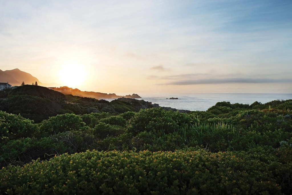 One Marine Drive Boutique Hotel - фото 45