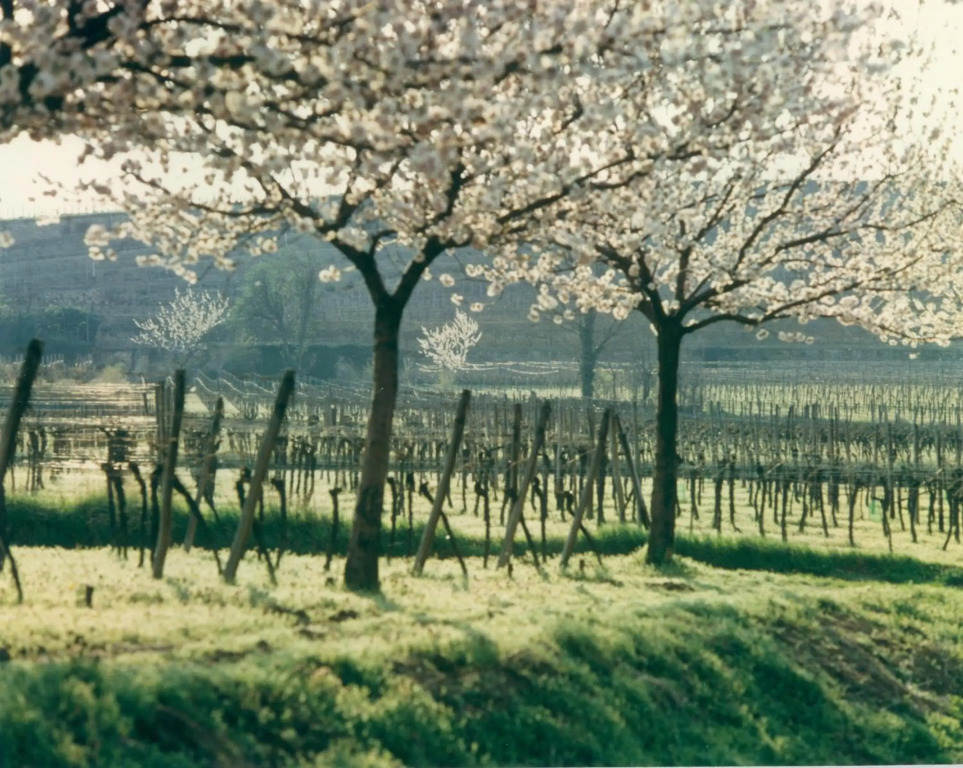 Image 22