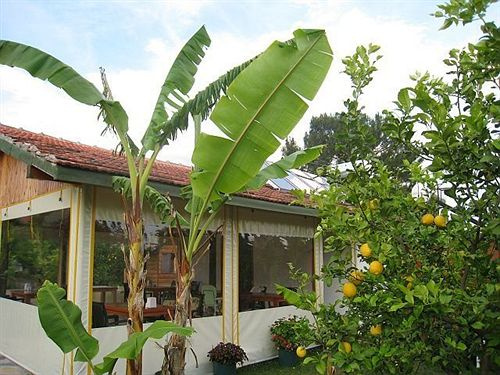 Çirali Almira Bungalow - Général