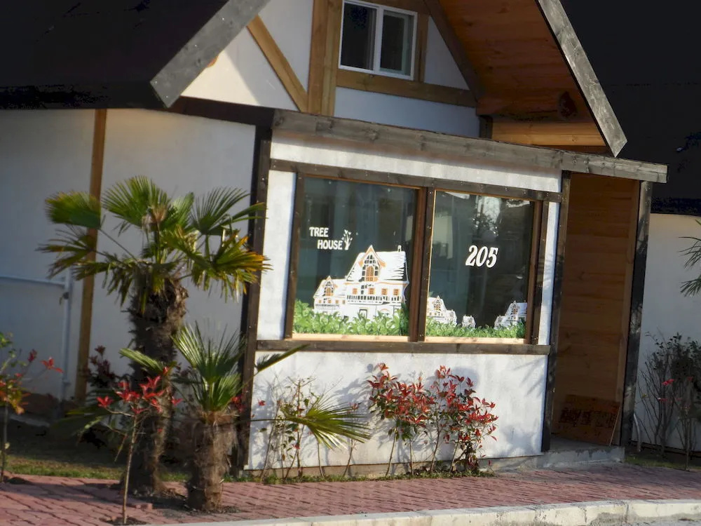 Tree House