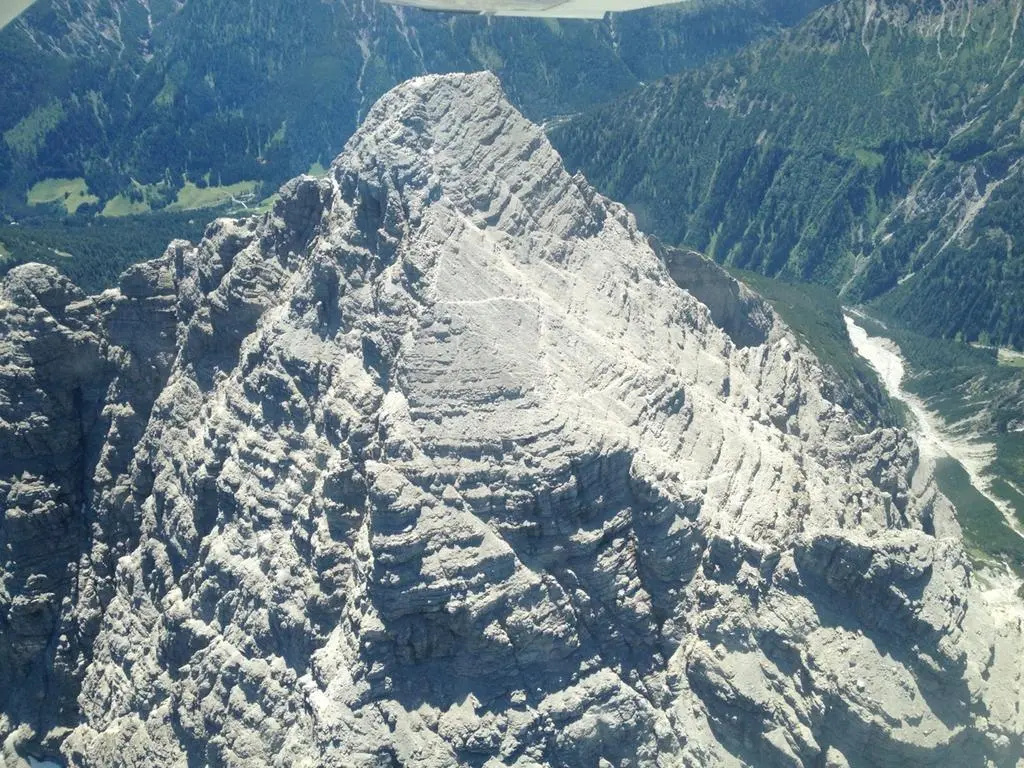 Alpenrose