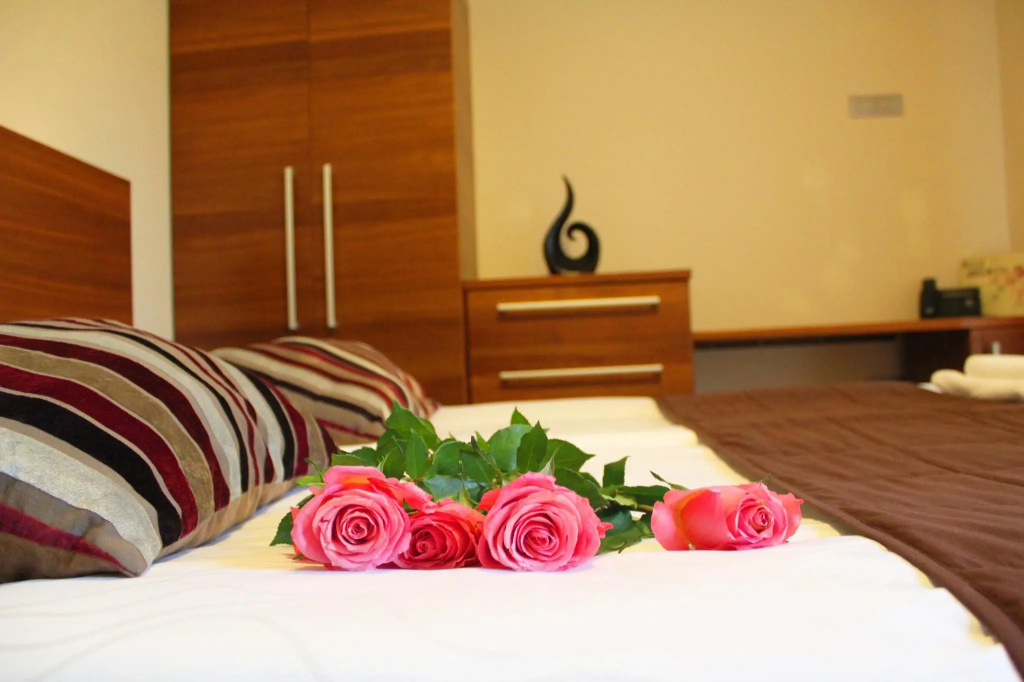 Standard Double room (full double bed)