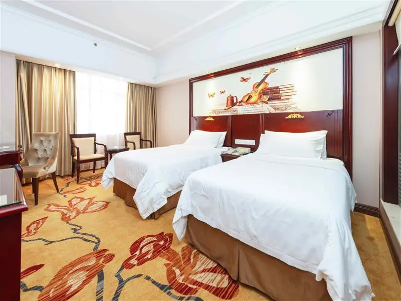 Vienna Hotel Heyuan Hongxing Road Branch - Chambres