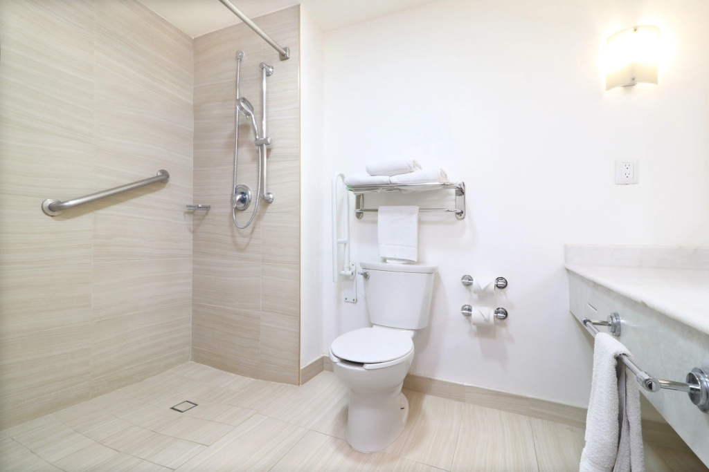 Holiday Inn Hotel & Suites Guadalajara-Centro Historico by IHG - Général
