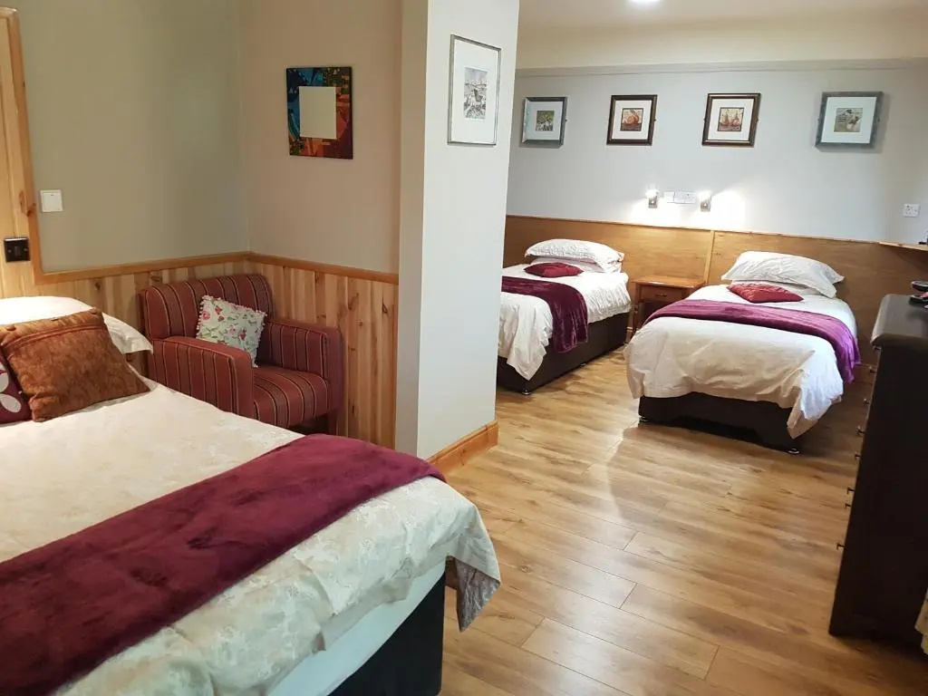 Kylemore Pass Hotel - Chambres