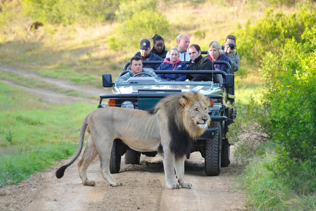 Kariega Game Reserve - Ukhozi Lodge - Général