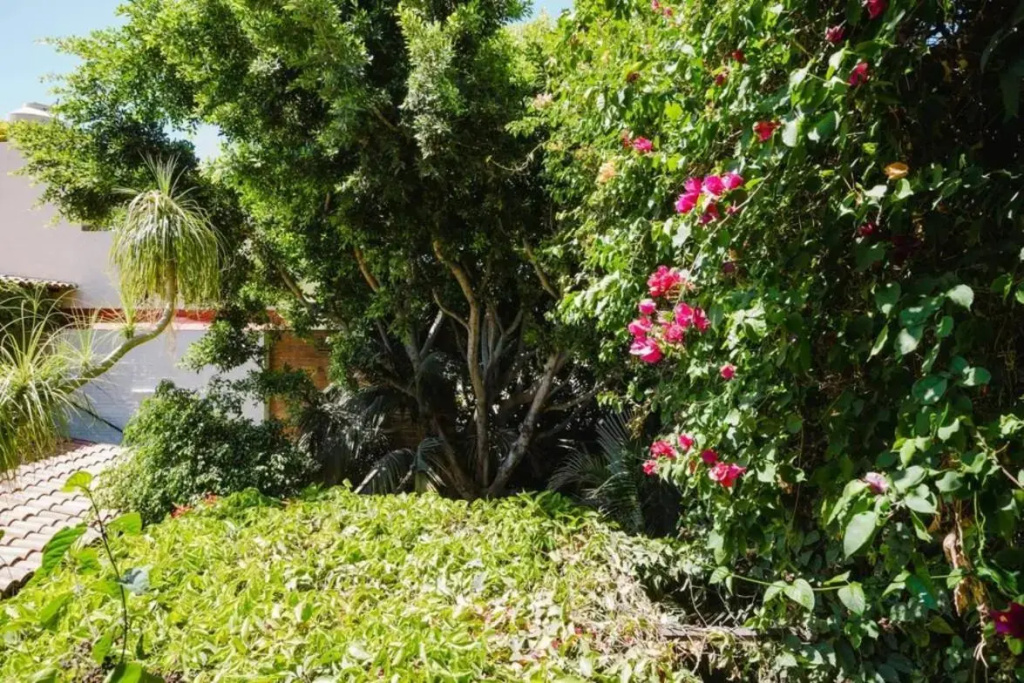 Be a Diva in the Queen's Suite at Inn Ajijic