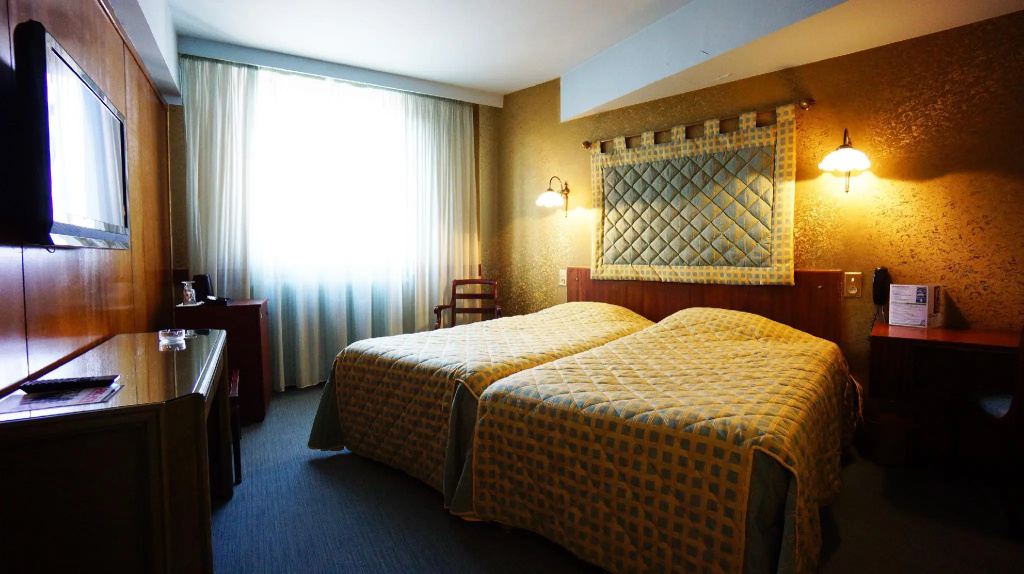Superior Double room (twin beds)