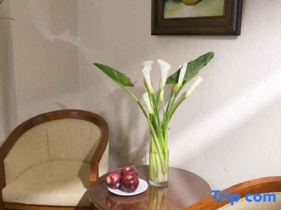 Aristo Saigon Hotel