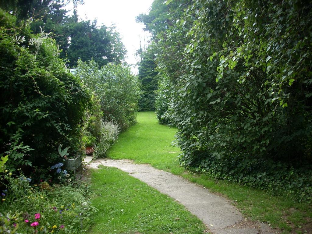 Image 9