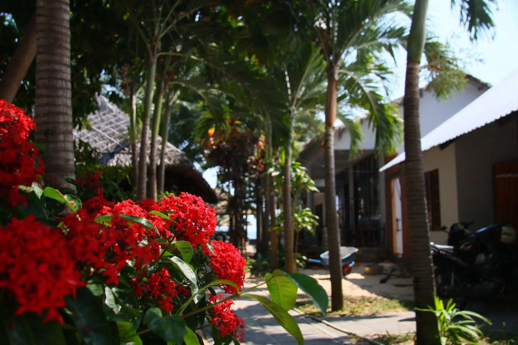 Mai Am Guest House