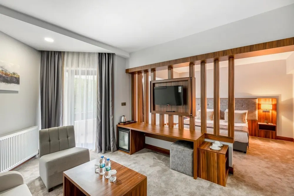 Junior Suite with balcony and with city view