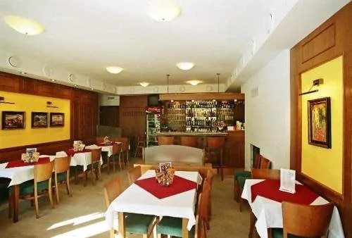 Hotel Lázeňský vrch - Général