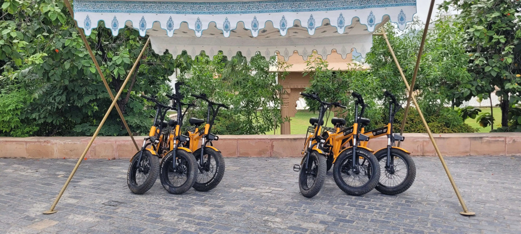 Radisson Blu Udaipur Palace Resort & Spa - Général