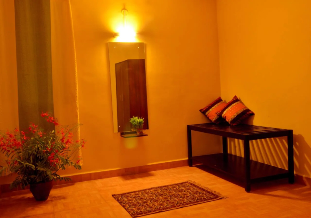 Hotel Satya Ashoka - Général