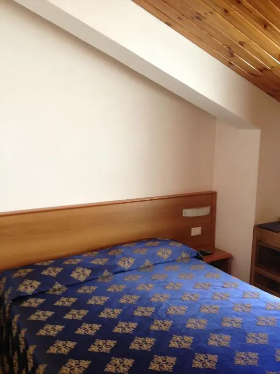 Standard Double Attic room (full double bed)