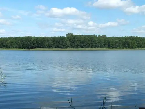 Puozo Sveciu Namai