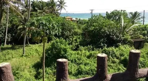 Deutsch Lanka Hotel & Restaurant - Général