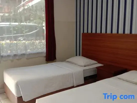 Classic Double room (twin beds)