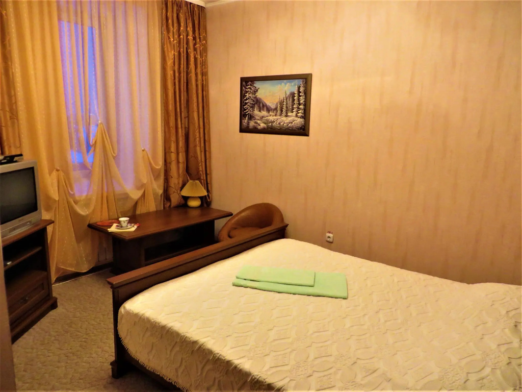 Standard Double room (full double bed)
