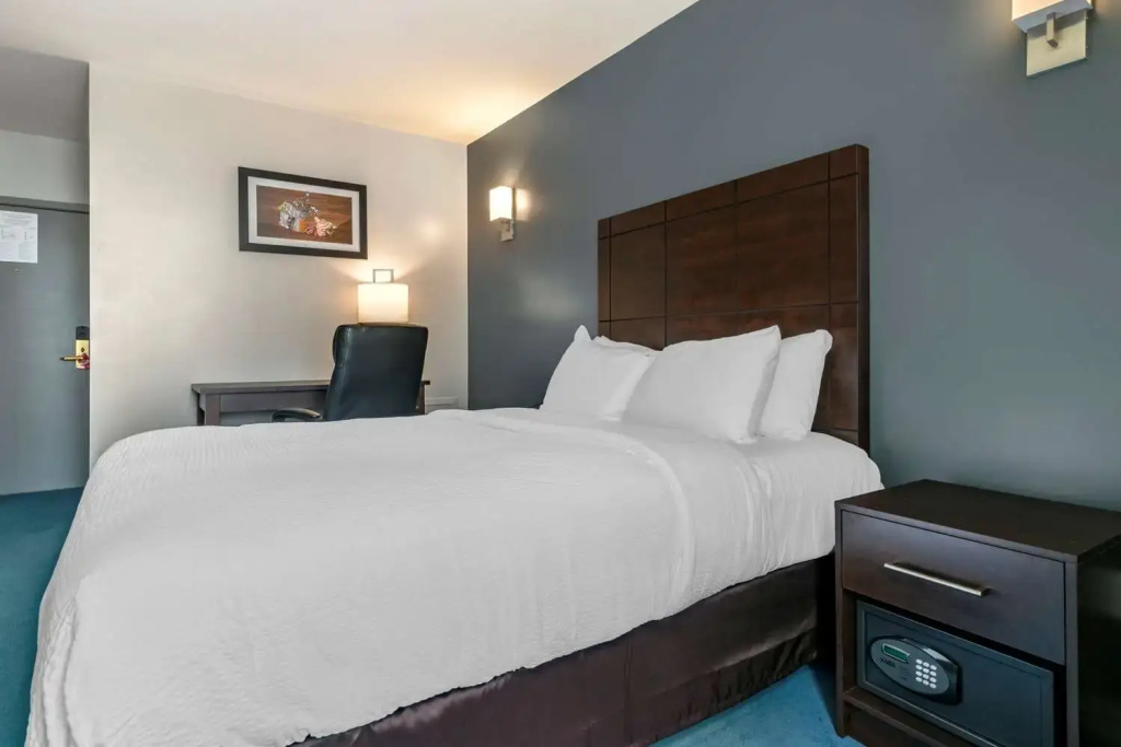 Hotel photo 7